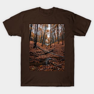 Autumn T-Shirt